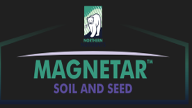 Magnetar Seed 